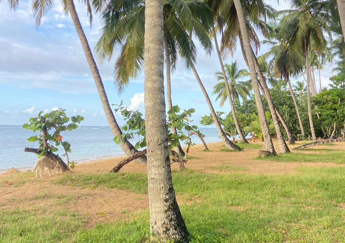 Image of Marina Bay Las Terrenas Hotel 6