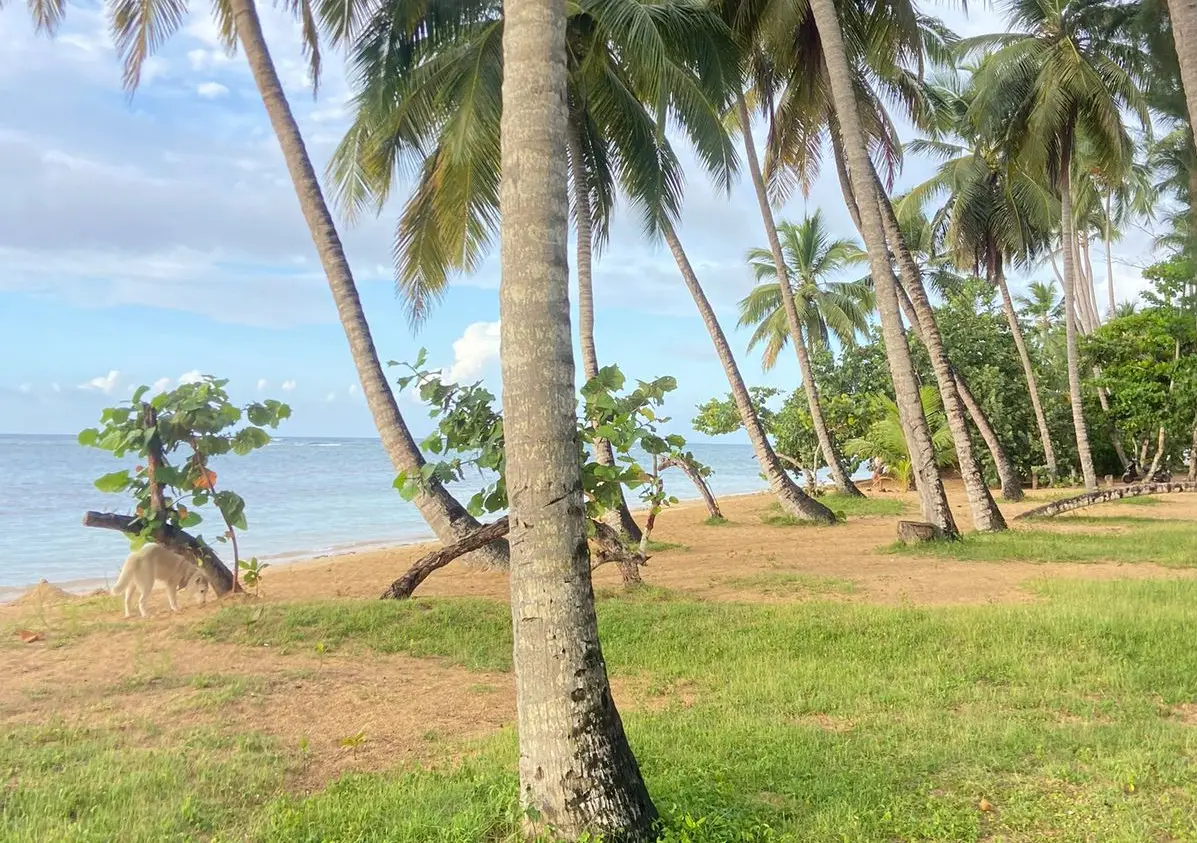 Image of Marina Bay Las Terrenas Hotel 6