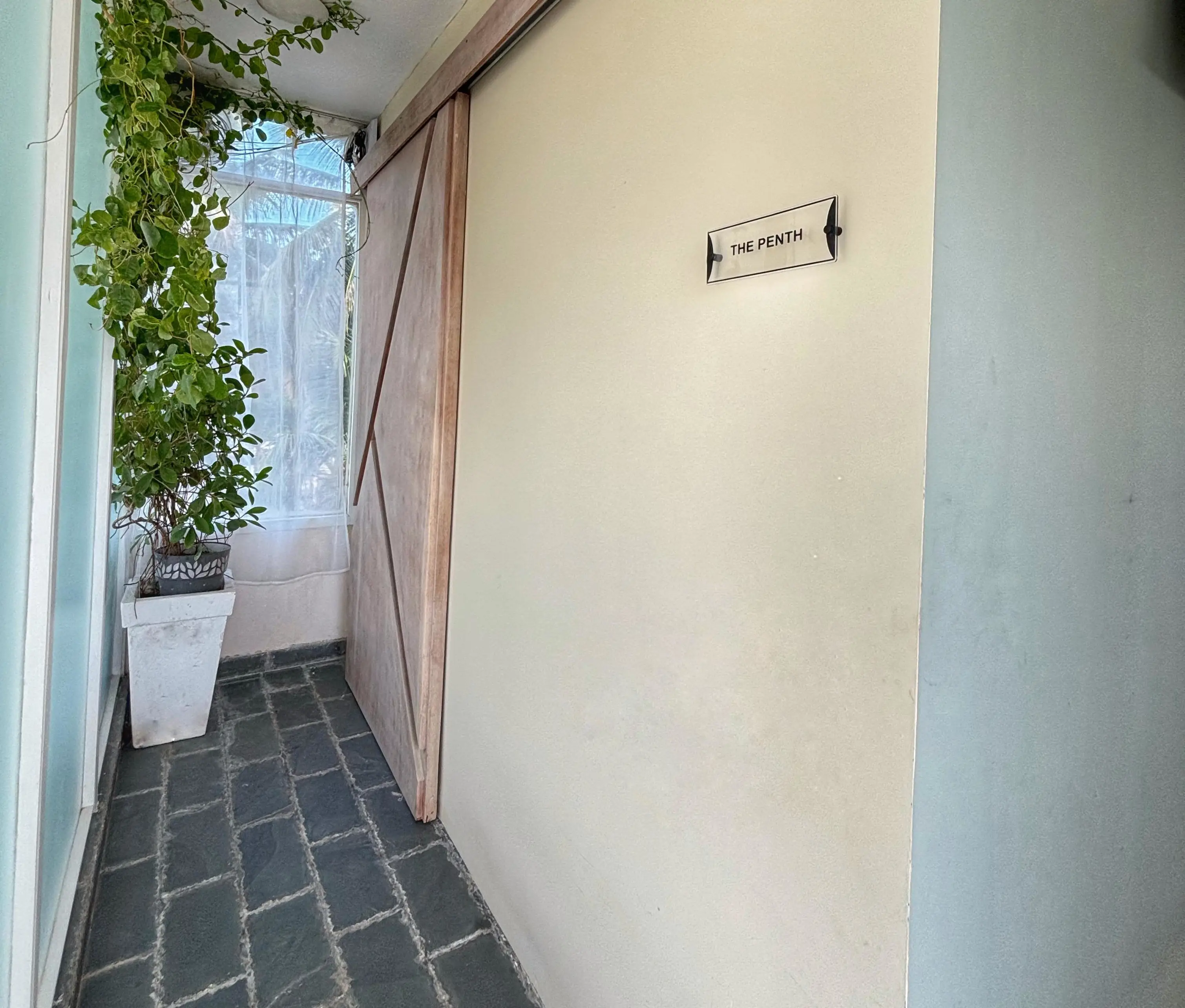 [background image] image of the Penthouse.