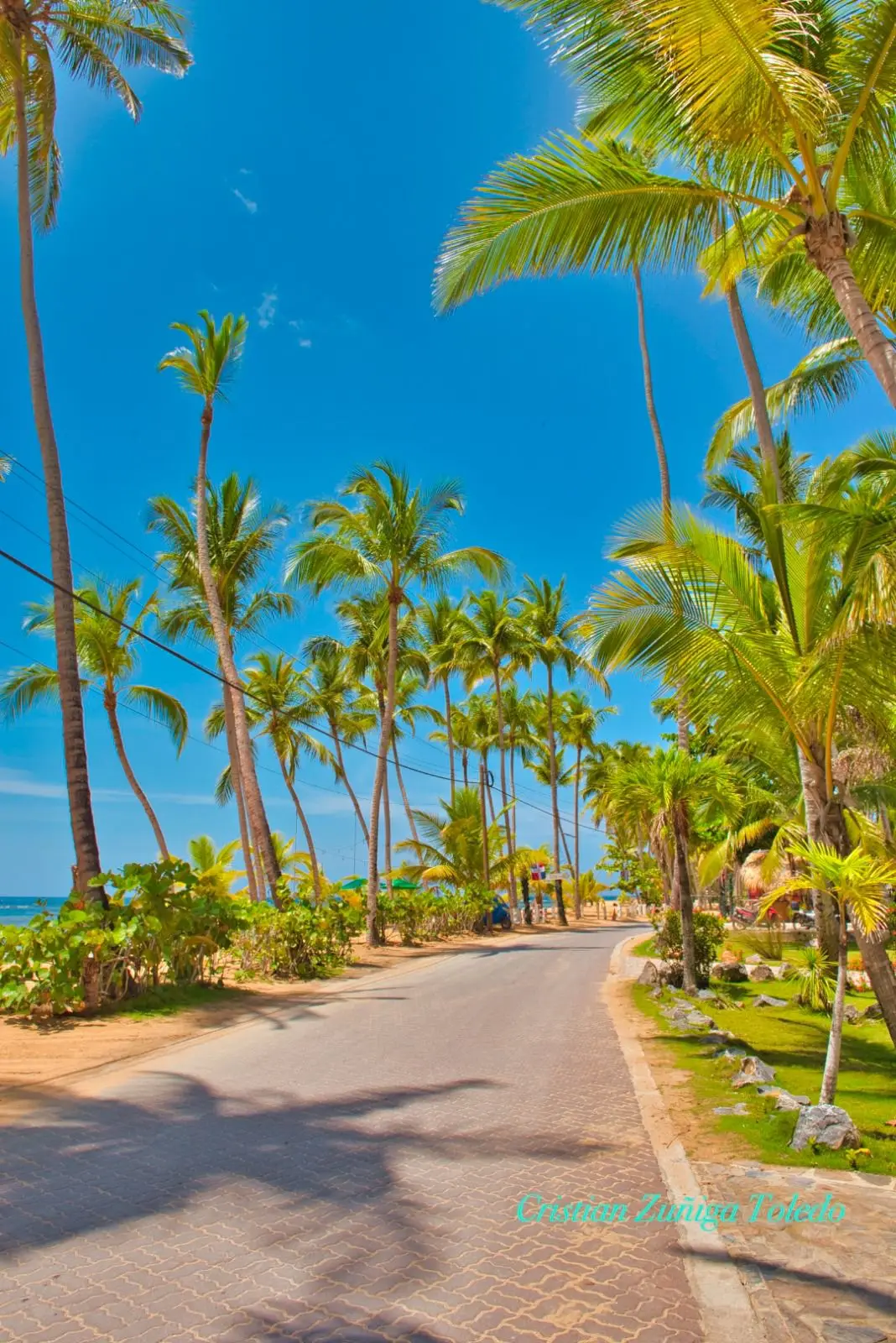 image of a person asking a question at an information counter for mobility and transportation